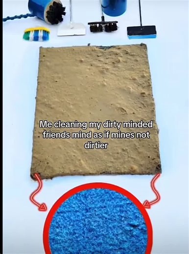 Carpet Cleaning Tips for a Fresh Home Environment