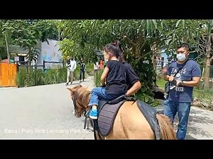 Pony Ride Lembang Park Zoo
