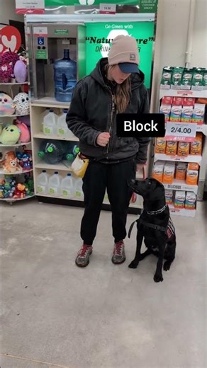 Psychiatric Service Dog Tips, Tricks, Tasks and Obedience Pt. 2