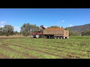 Yield monitoring and mapping of Queensland vegetable crops