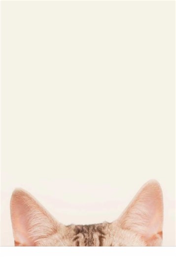 Lazy Editing: Roleplay Inspired by Stranger Things