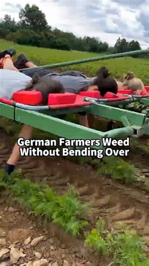 German Farmers Weed Without Bending Over—Genius Tractor Platform Hack! 🌾 #FarmingHacks #Agriculture