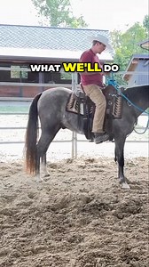 Unlock the secrets of effective horse training in this insightful video! Join us as we guide you through the training duration and techniques, focusing on positive reinforcement and the transition to bit training. Perfect for horse enthusiasts looking to enhance their skills!#HorseTraining #EquestrianSkills #PositiveReinforcement #BitTraining #HorseRiding #EquineEducation #TrainingTechniques #HorseCare #RiderTips #HorseLovers | Ed's Walking Horses | Facebook