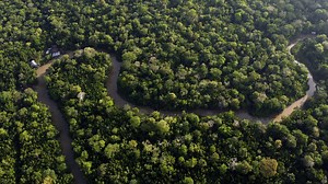 Brazil's Amazon Summit ends with a plan to protect the world's rainforests, but no measurable goals