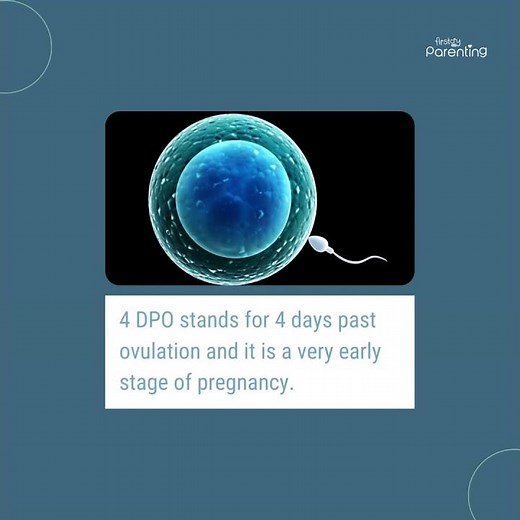 4 DPO Pregnancy Symptoms