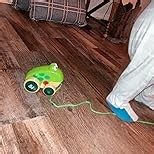 Hape Frog Pull-Along | Wooden Frog Fly Eating Pull Toddler Toy, Bright Colors