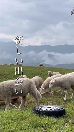 長野県小谷村 地域おこし協力隊募集