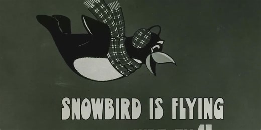 He is the bird with the word: Snowbird. Here’s the iconic penguin’s origin story