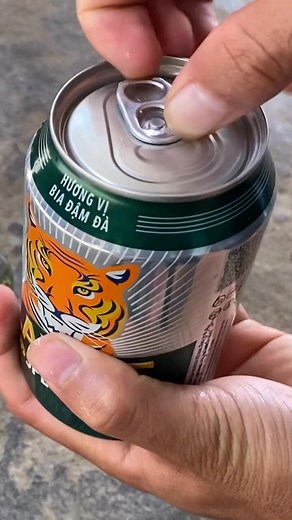 This benefit helps the bougainvillea plant bloom in 4 seasons reels D:Mom @treeplantingideas60 DriveMom ContentsGen2 Contents4a- | DecCheer