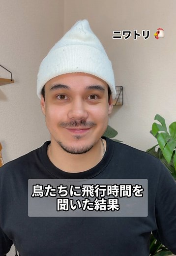 空で眠る鳥はいる？最後の鳥の驚きの生態を解説