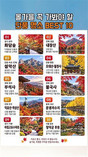 올가을 꼭 가봐야 할 단풍 명소 BEST 10 🍁