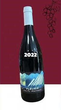 Red Wine With Fish? White Wine With Steak? France Says YES 🇫🇷🍷