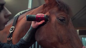 307K views · 879 reactions | She's the clipping QUEEN! ‍♀️ Learn how to clip your horse like a pro with Niki Baxter! Freelance groom to the stars and a true clip master, Niki shows us step-by-step how to give your horse a haircut he'll be proud of.  Full tutorial  https://www.fei.org/stories/lifestyle/teach-me/how-clip-your-horse-niki-baxter-groom | Fédération Equestre Internationale | Facebook