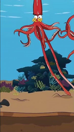 How is sperm whale ambergris produced? Fantastic Beasts Animal Science Popular Science