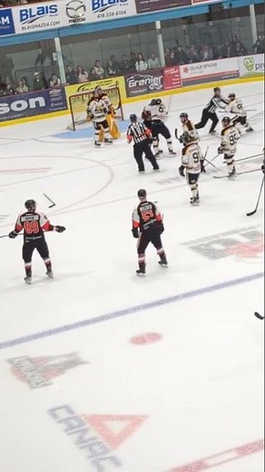 Hockey Bench Clearing Brawl after the end of the game ! #hockey #qc #brawl #lnah #hockeyfight #final