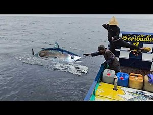 Monster Skipjack Tuna Strikes! Insane Deep Sea Fishing Action