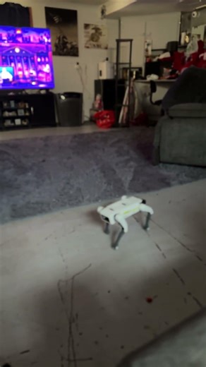 Robot dog is so cute
