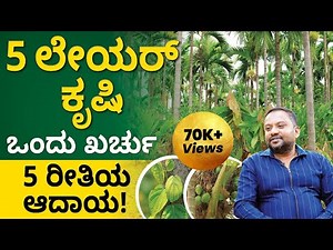 5 Layer Farming in Kannada - What is 5 Layer Farming? | 5 Layer Method Cultivation | Abhishek
