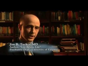 Reincarnation research by Ian Stevenson Children's past life memories