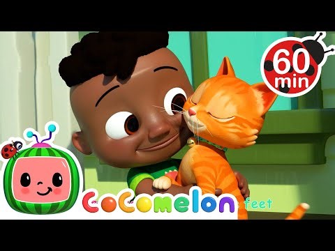 CoComelon - Pet Care | Learning Videos For Kids | Education Show For Toddlers
