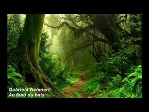 Gabriela Nehmert - Au fond du bois (folklore, forest, Natur)