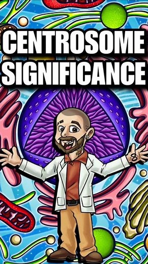 ☝️🔬 Centrosome Significance 🧬🤔