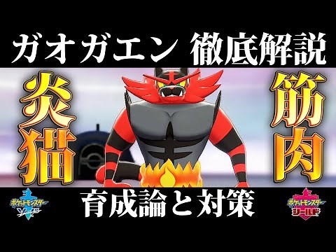 [Pokemon Sword and Shield] A summary of how to train Incineroar, countermeasures, and obtain it! ...