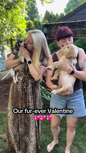 Throwback to peak puppy cuteness and all the mom love 🥰 #puppy #valentinesday #dachshund #golden #love