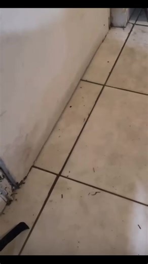 Tropical Storm Imelda brought flood in 2025 Watch Da Road | The Bahamas Times