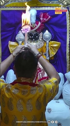 राजाधिराज द्वारकाधीश जी के शयन आरती दर्शन🙏#sayanaarti#ShridwarikadhishmandirOfficial