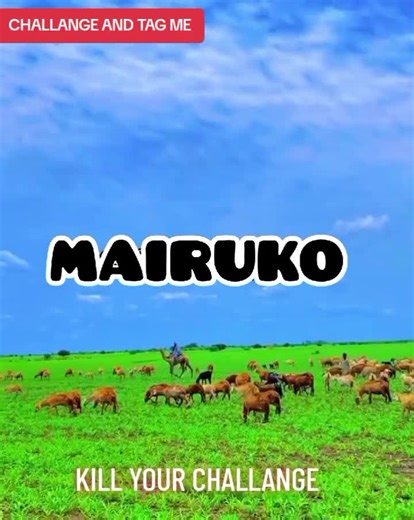 #trendingvideo #viral_video #samburutiktokers #laikipiatiktokers❣️❣️ @Sudi_khan849 🇬🇧 @Sasha_mett @Josh Laizer @DILLA TIFFA ZAGA BALLE @SANING'O DIMERO. @Nkerai e Sila @WALK WITH MAA TOURS 🇰🇪 🇹🇿 @benshalaamarita @DEBBIE'S ❤💦💯 @DIRECTOR D.DERO