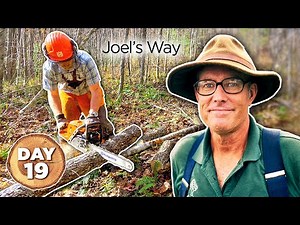 Building a Homestead in 100 Days - Day 19