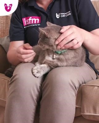 8K views · 60 reactions | Checking your cat's ears can help spot the...