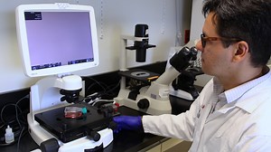 Identification of Inositol Phosphate or Phosphoinositide Interacting Proteins by Affinity Chromatography Coupled to Western Blot or Mass Spectrometry