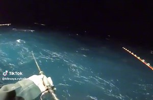 10K views · 38 reactions | Fish slapped 藍 | Fishing and Boat ramp Fails | Facebook