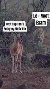 neet aspirants vs neet exam #shorts #neet2026 #neet #neetmotivation #neetaspirents #neetug #trending