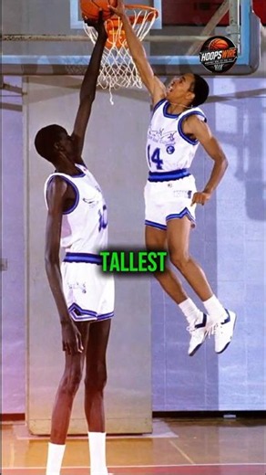 The Wild Truth About Manute Bol 🤯 #basketball #nba #shorts