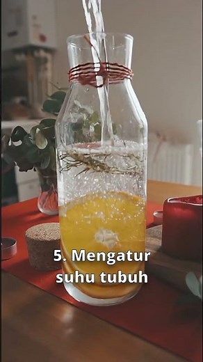 jangan sampai kamu ga tau apa manfaat minum banyak air putih untuk tubuh kamu