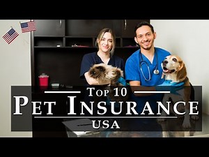 Best Pet Insurance in USA [Detail Reviews] | Top 10 US Pet Insurance Companies, Cost & Covers