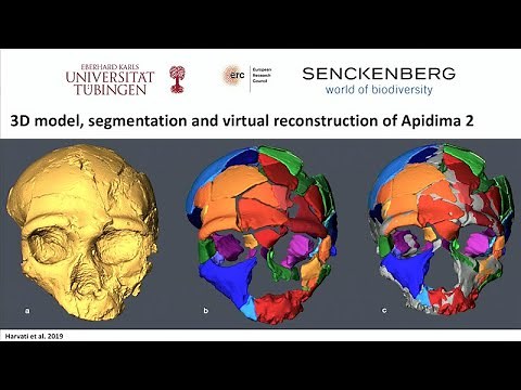 Homo Sapiens Dispersals Out of Africa