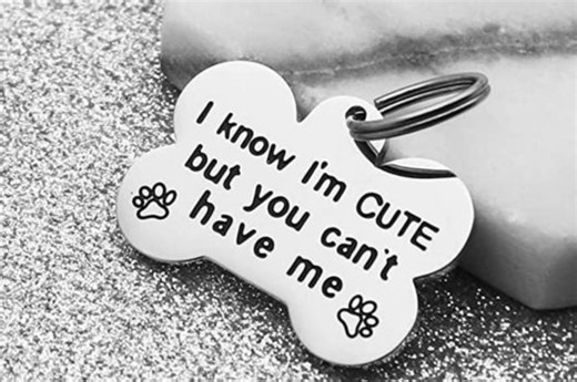 $9 Hilarious Dog Tag Will Make Fellow Dog Lovers Laugh