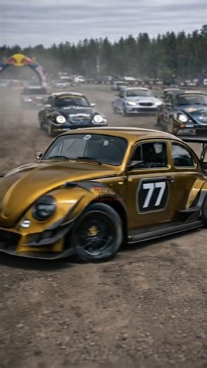 Rally race is beauty #vwbeetle #rally #classiccars