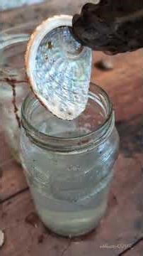 acid dipping abalone shells #asmr #abalone #goodsounds #relax #acid