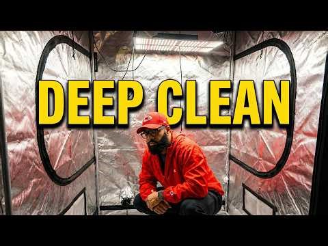 Deep Clean Your Tent Before Your Next Grow (Living Soil Method)