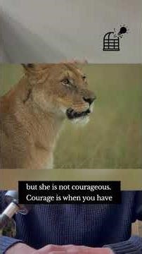 Plato: Courage