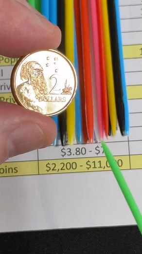 COIN VALUE LISTS ⬇️ https://linktr.ee/coincollecting_detecting #twodollarcoins #coinvalues #Aussie #disability #fyp | Michael McCauley