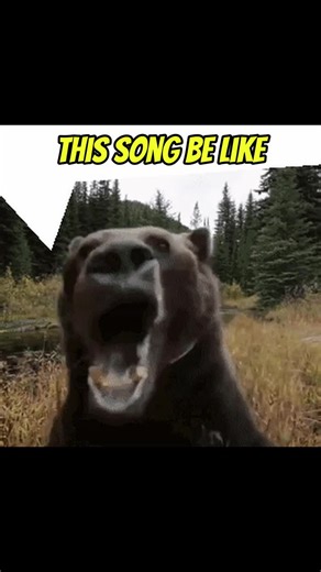 #meme #bear #gif #fyp #viral