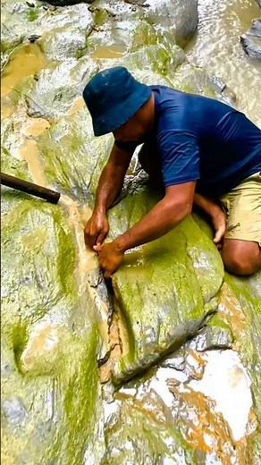 pure gold dust mining process maret2026⚒️ovascotia #longweekend