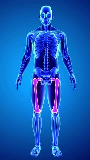 今回は身体の仕組みについて解説しました🙇‍♂️ ぜひご覧ください🙇‍♂️ #福岡 #天神 #機能改善 #パーソナルトレーニング #福岡パーソナル