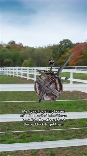 Getting My Horse's Attention with a Funny Twist